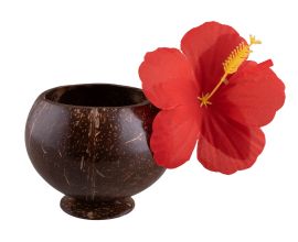 Coconut Cup w/Straw & Flower